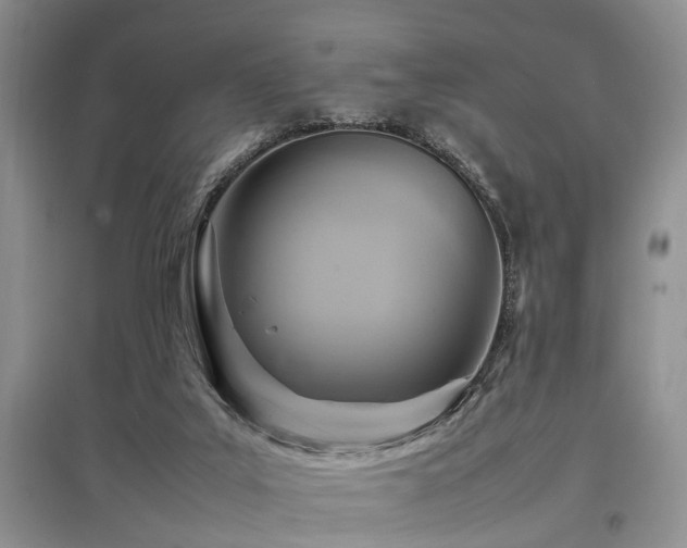 X0000097880019200803141330