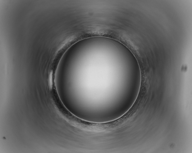 X0000097880020200803141330