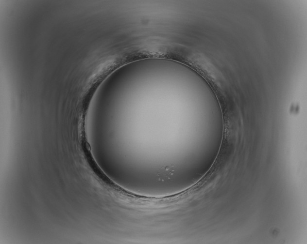 X0000097880023200803141330