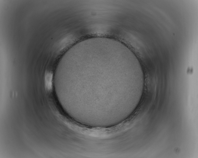 X0000097880024200803141330