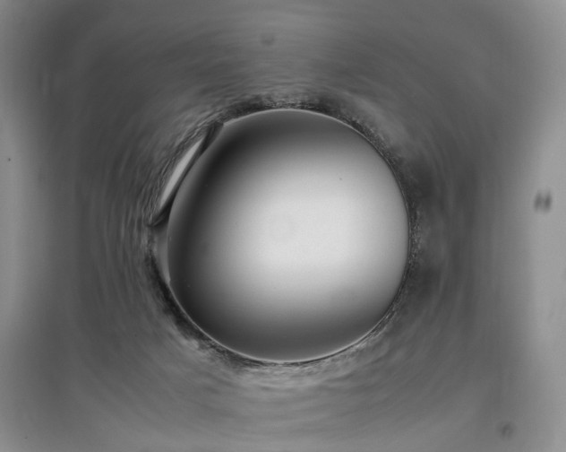 X0000097880025200803141330