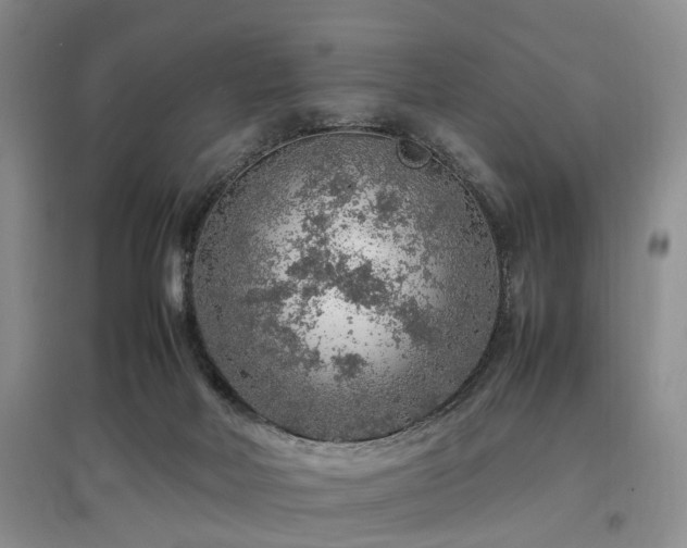 X0000097880026200803141330