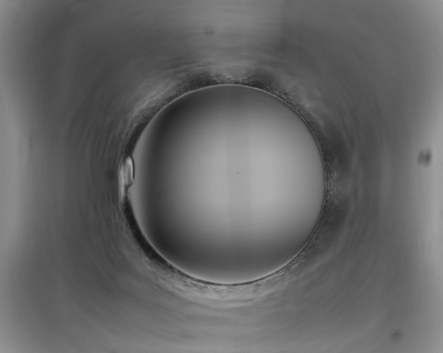 X0000097880027200803141330