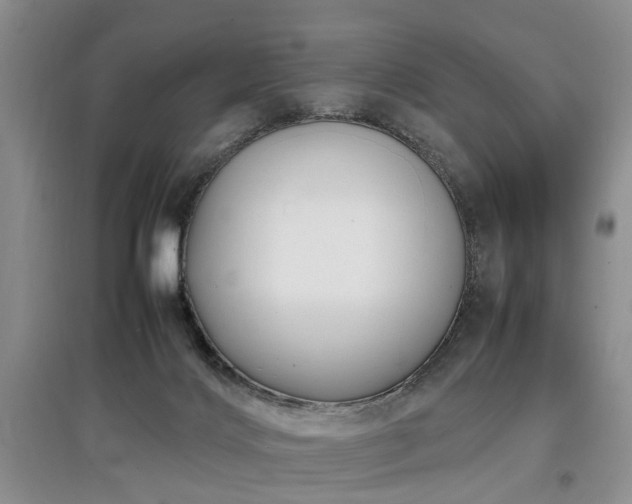 X0000097880028200803141329