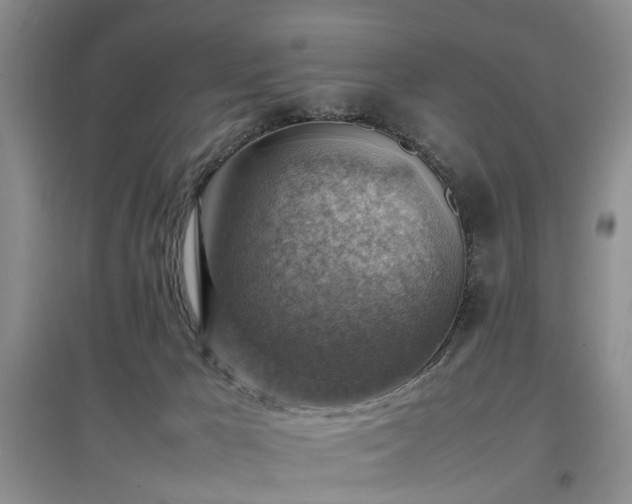 X0000097880029200803141329