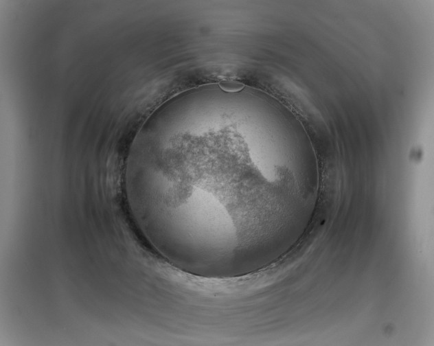 X0000097880030200803141329