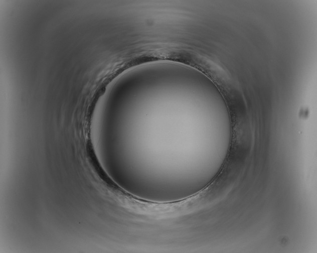 X0000097880031200803141329