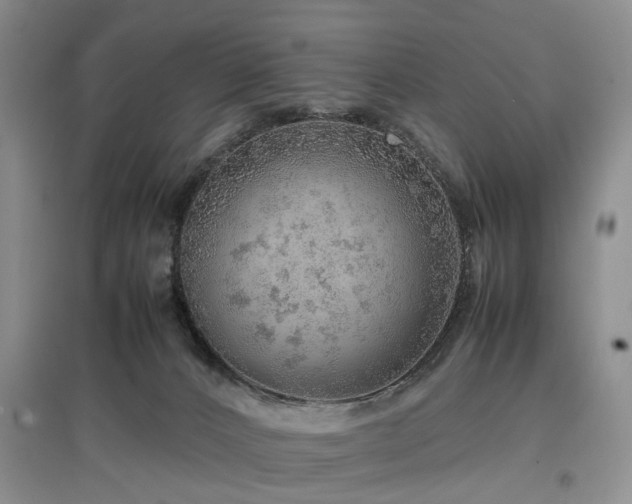 X0000097880032200803141329