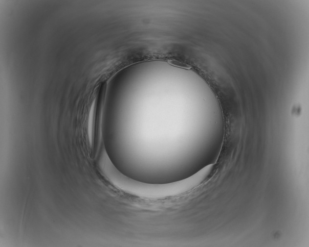 X0000097880033200803141329