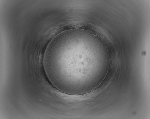 X0000097880034200803141329