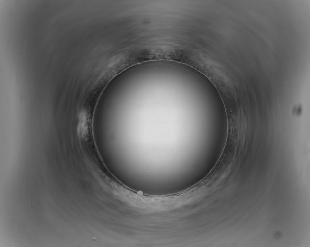 X0000097880038200803141329