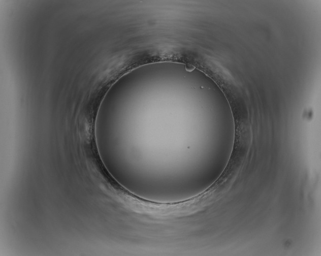 X0000097880039200803141329