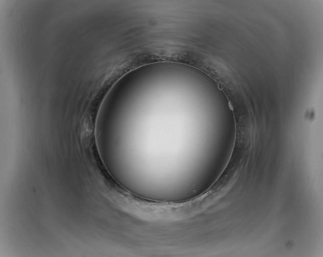 X0000097880040200803141329