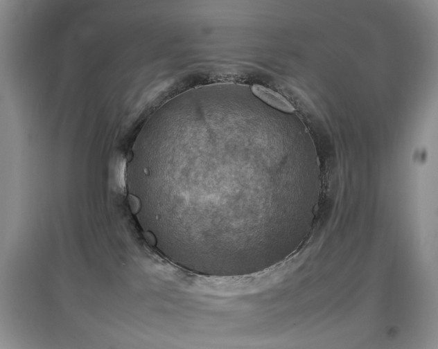 X0000097880041200803141329