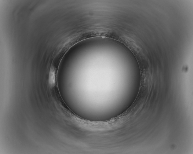X0000097880042200803141329