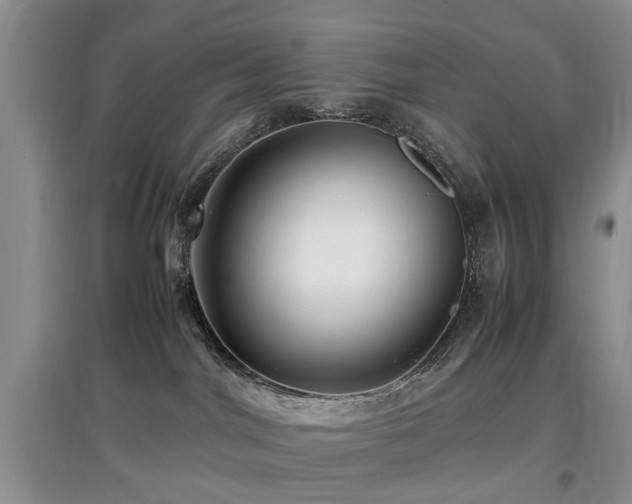 X0000097880044200803141329