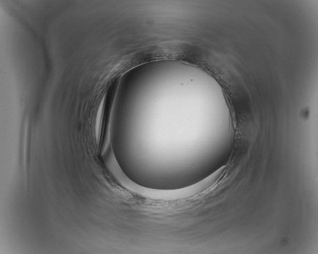 X0000097880045200803141329