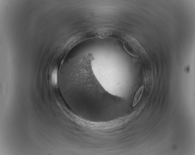 X0000097880046200803141329
