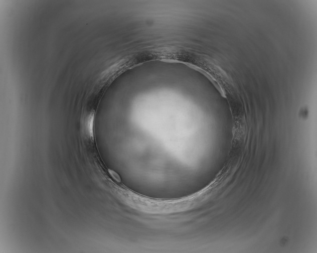 X0000097880047200803141329