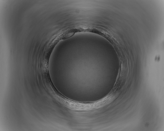 X0000097880048200803141329