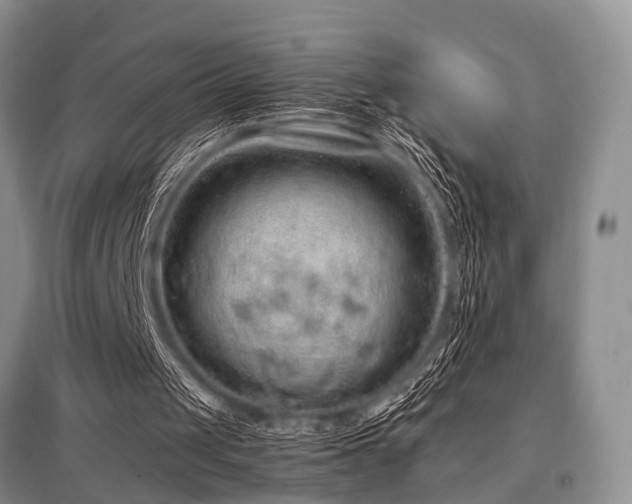 X0000097880049200803141329