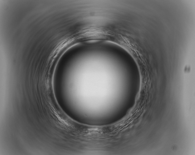 X0000097880050200803141329