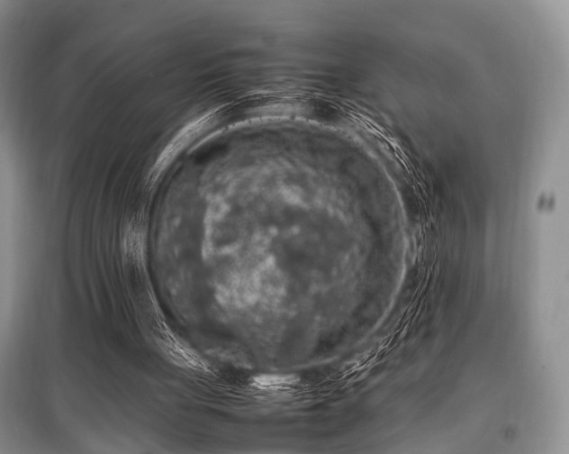 X0000097880051200803141329