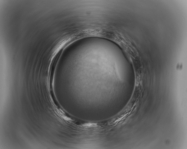 X0000097880052200803141329