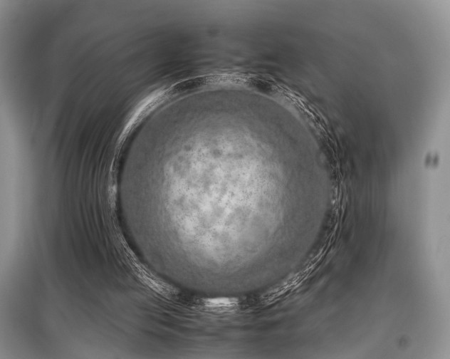 X0000097880053200803141329