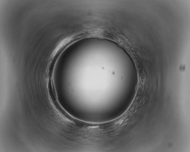 X0000097880054200803141329