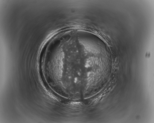 X0000097880055200803141329