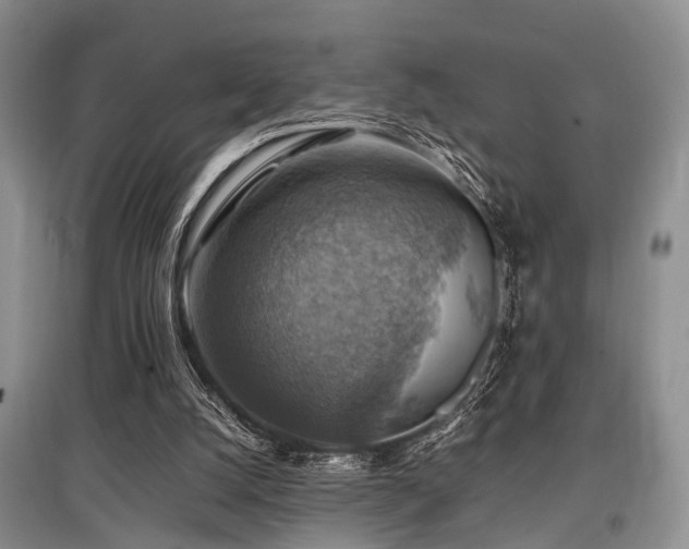 X0000097880056200803141329