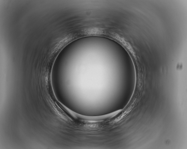 X0000097880057200803141329