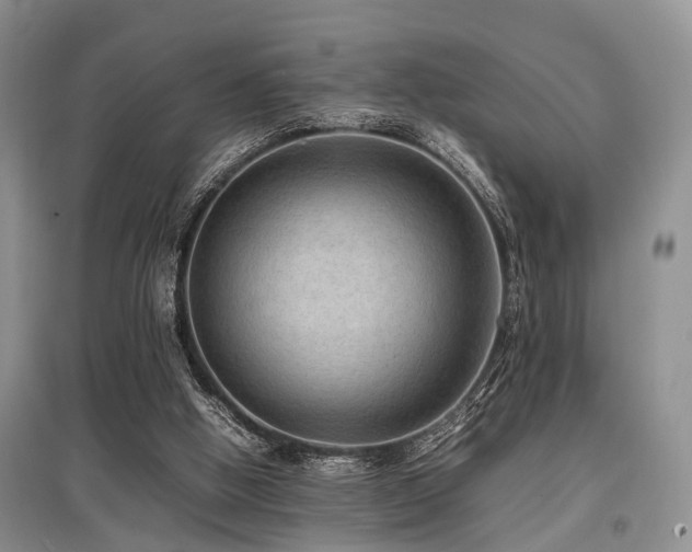 X0000097880058200803141329
