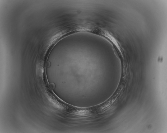 X0000097880059200803141329