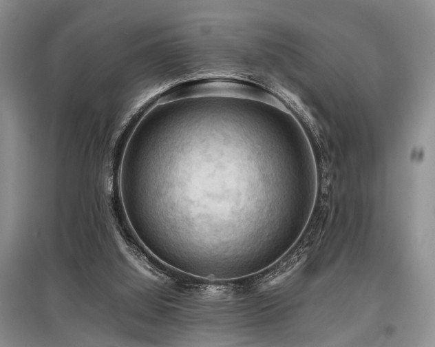 X0000097880060200803141329