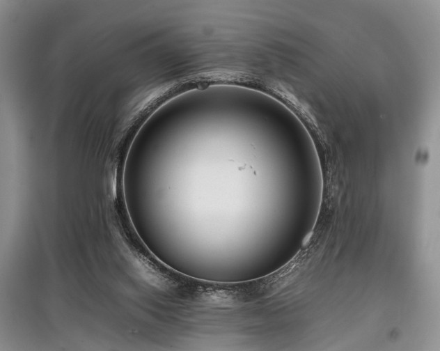 X0000097880062200803141329