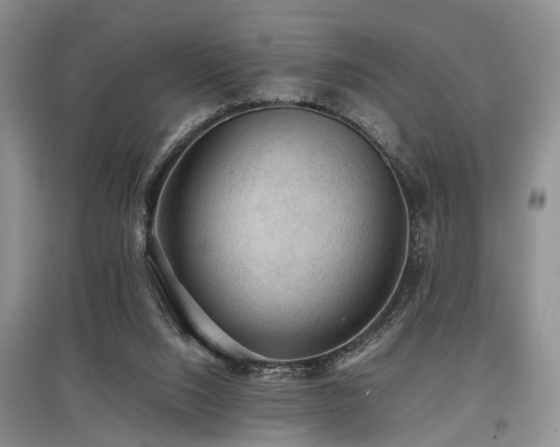 X0000097880064200803141329
