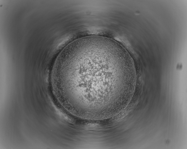 X0000097880066200803141329