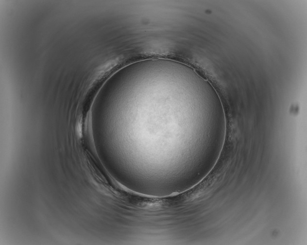 X0000097880068200803141329