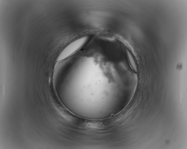 X0000097880069200803141329