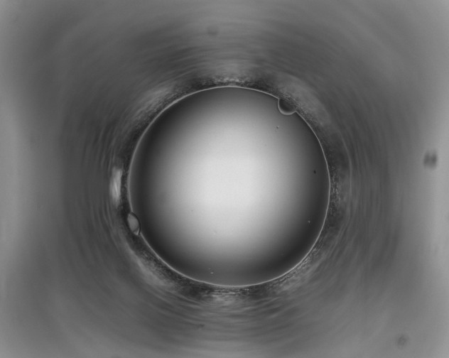 X0000097880070200803141329