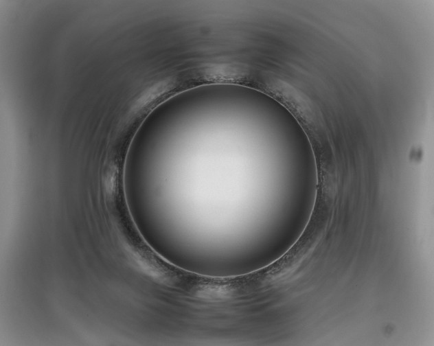 X0000097880071200803141329