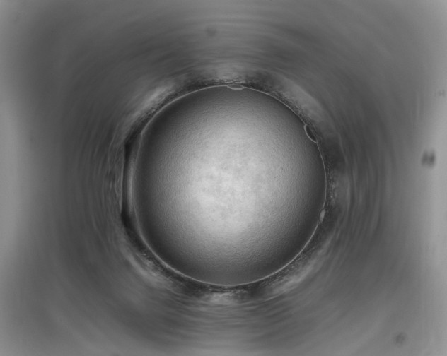 X0000097880072200803141329