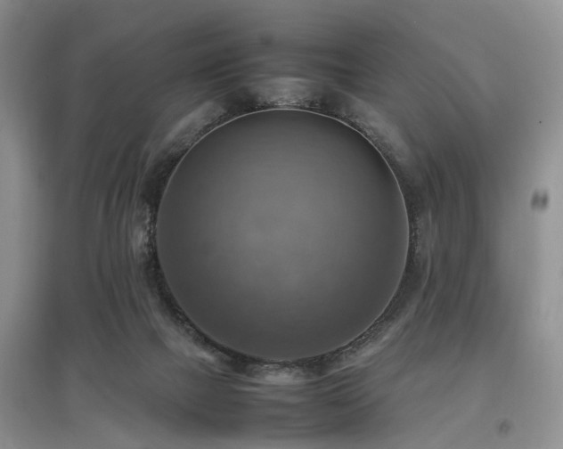 X0000097880073200803141329