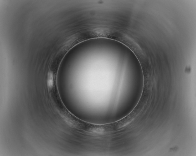 X0000097880075200803141329