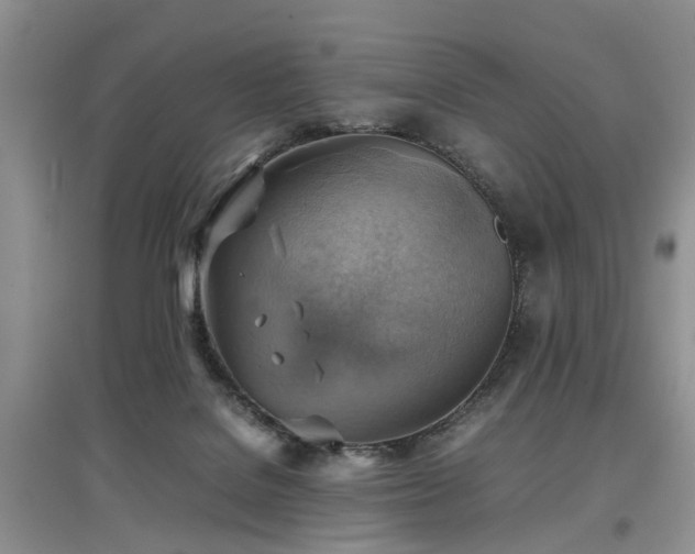 X0000097880076200803141329