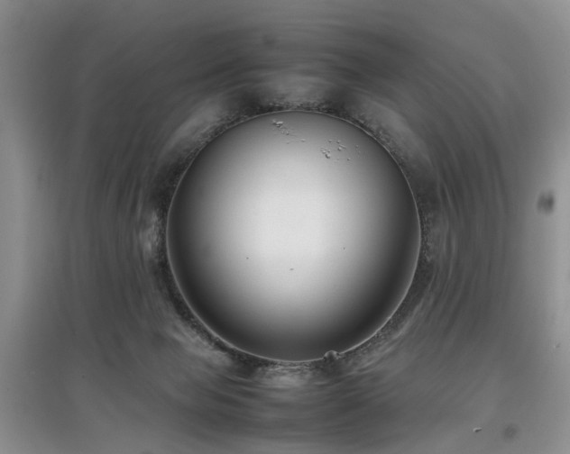 X0000097880077200803141329