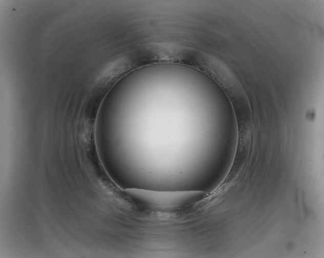 X0000097880078200803141329