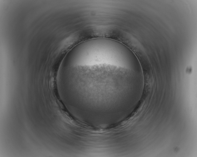 X0000097880080200803141329